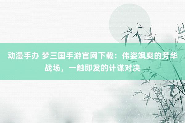 动漫手办 梦三国手游官网下载：伟姿飒爽的芳华战场，一触即发的计谋对决