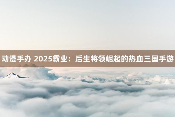 动漫手办 2025霸业：后生将领崛起的热血三国手游
