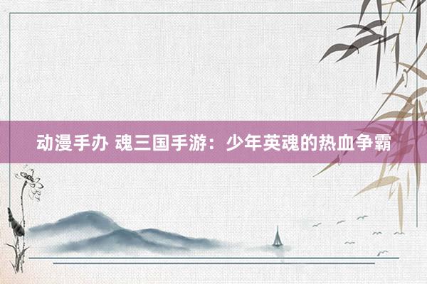 动漫手办 魂三国手游：少年英魂的热血争霸