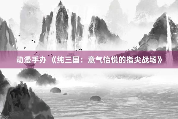动漫手办 《纯三国：意气怡悦的指尖战场》