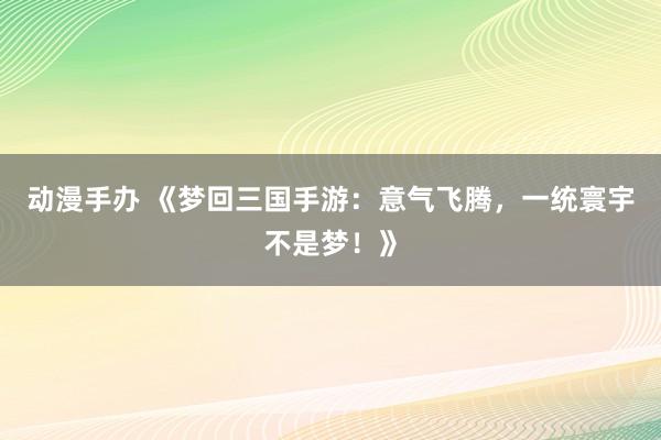 动漫手办 《梦回三国手游：意气飞腾，一统寰宇不是梦！》