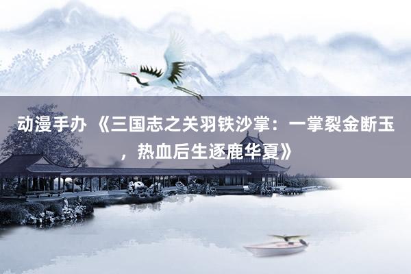 动漫手办 《三国志之关羽铁沙掌：一掌裂金断玉，热血后生逐鹿华夏》