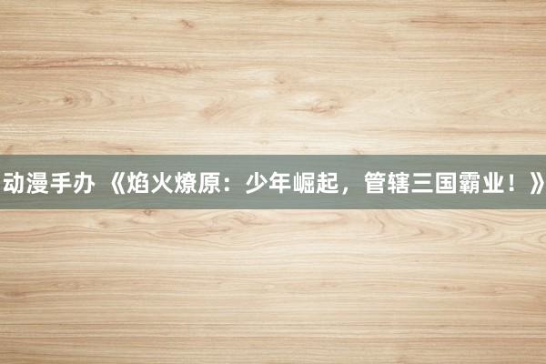 动漫手办 《焰火燎原：少年崛起，管辖三国霸业！》