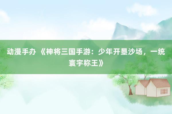 动漫手办 《神将三国手游：少年开垦沙场，一统寰宇称王》