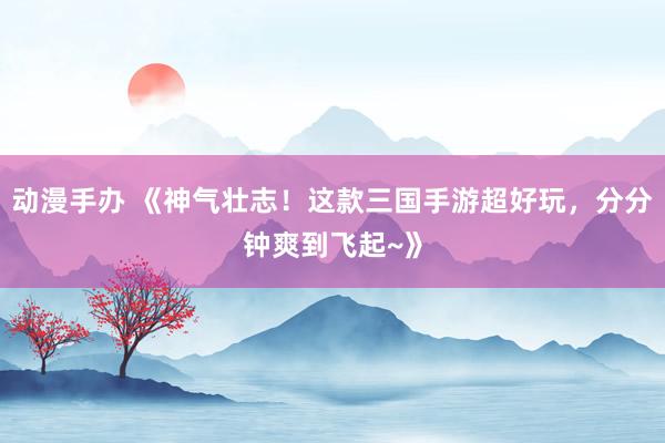 动漫手办 《神气壮志！这款三国手游超好玩，分分钟爽到飞起~》