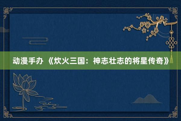 动漫手办 《炊火三国：神志壮志的将星传奇》