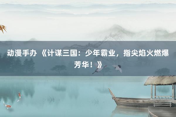 动漫手办 《计谋三国：少年霸业，指尖焰火燃爆芳华！》